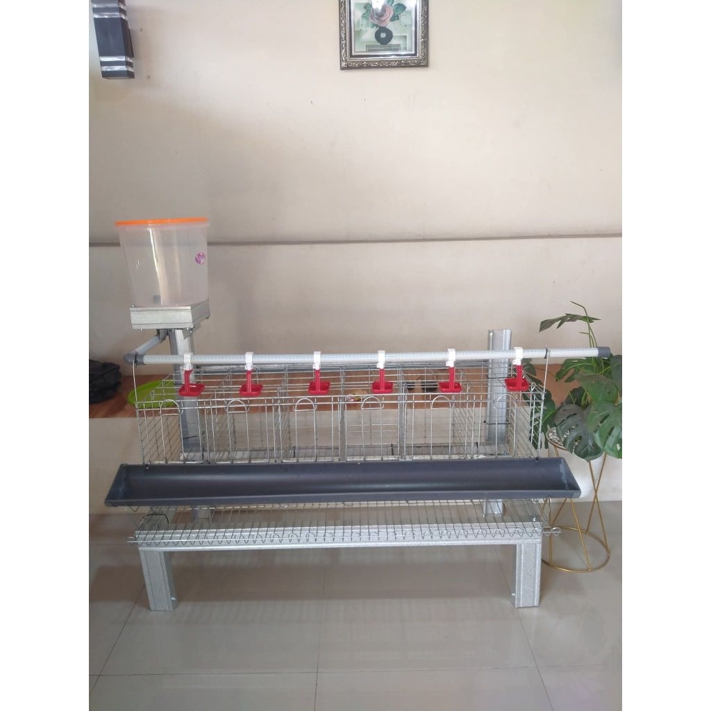 Kandang Batrei Ayam Petelur Kapasitas 16 Ekor