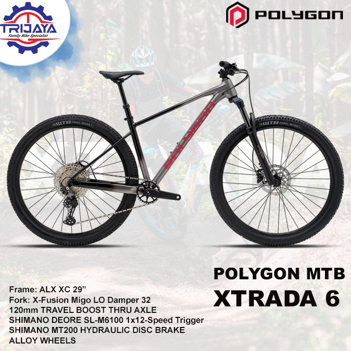 Polygon MTB Xtrada 6 Sepeda Gunung (29 inch) 12 speed
