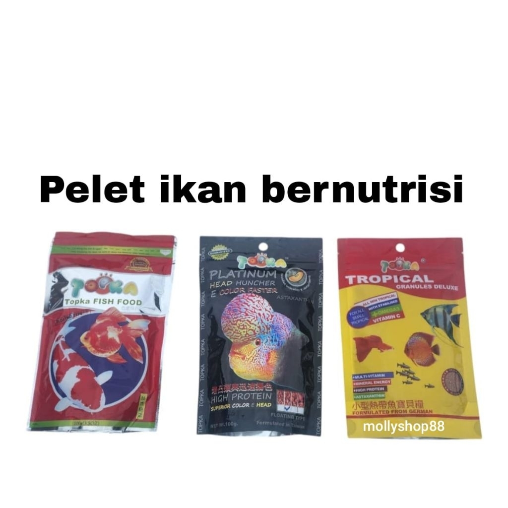 Topka Umpan Louhan  - Umpan Ikan Hias Topka Louhan Platinum