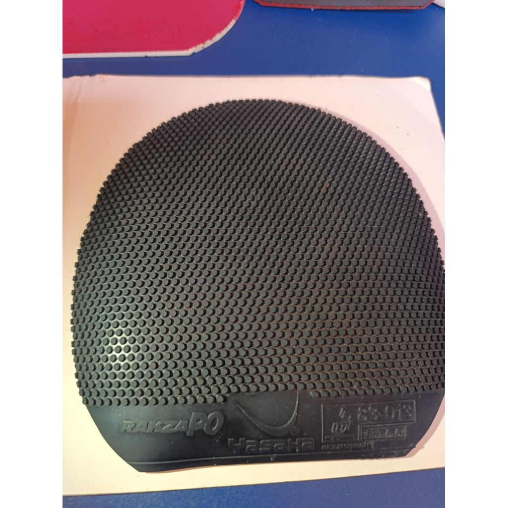 Binser Yasaka Rakza Po