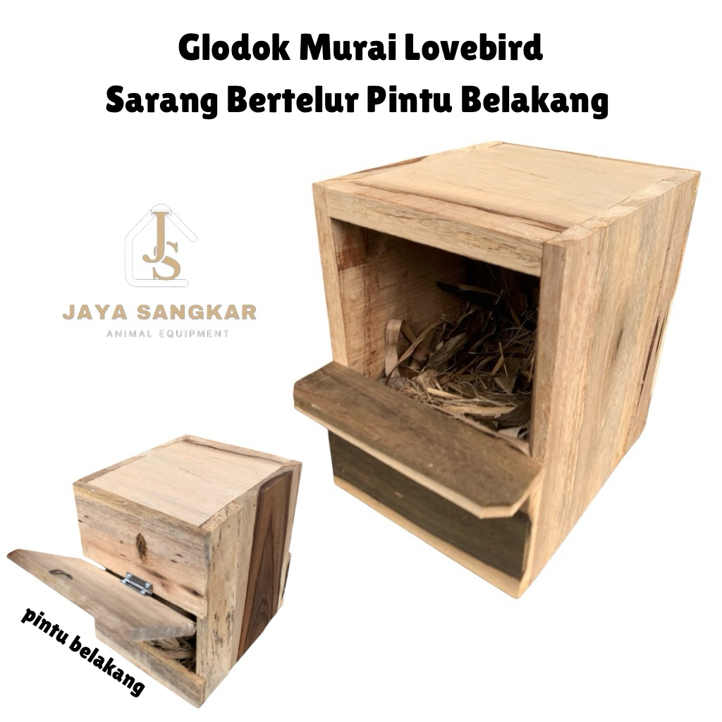 GLODOK MURAI LOVEBIRD SARANG BERTELUR PINTU BELAKANG