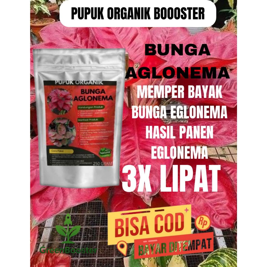 Pupuk Booster Aglonema (250gr) l pupuk organik murah pelebat bunga aglonema l pupuk organik murah pe