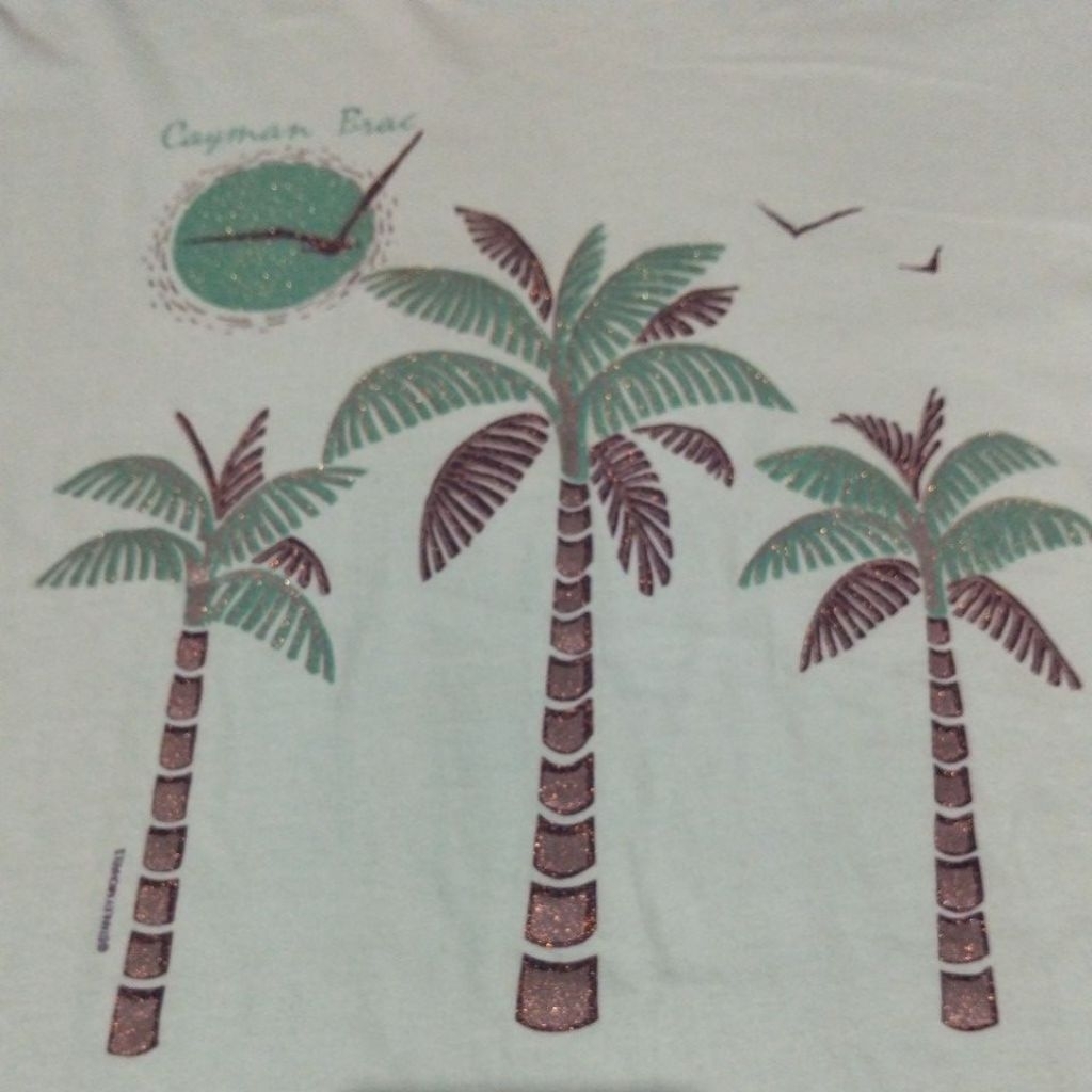 kaos bekas Hanes Beefy vintage