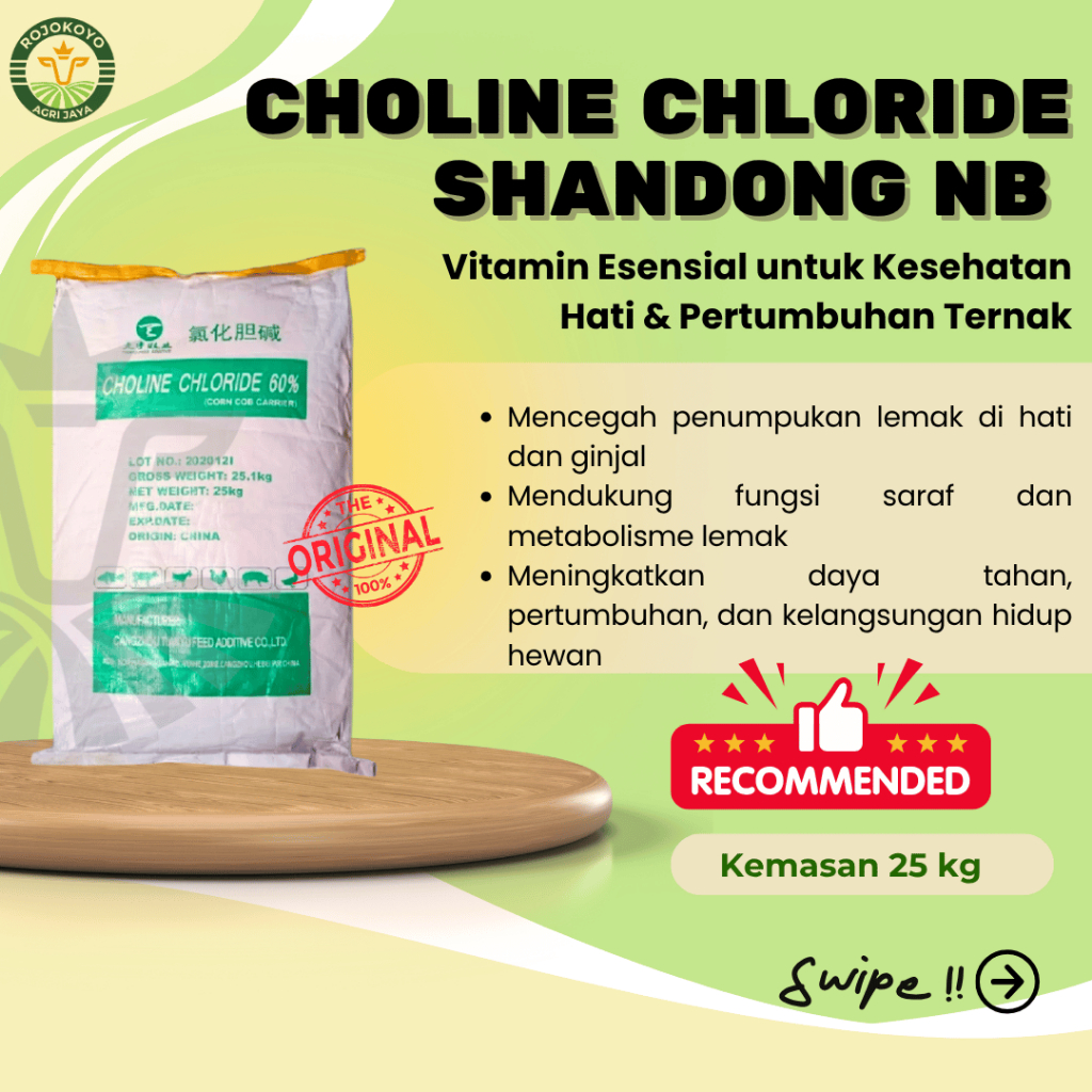 Choline Chloride 25 kg-Vitamin Klorida Kolin