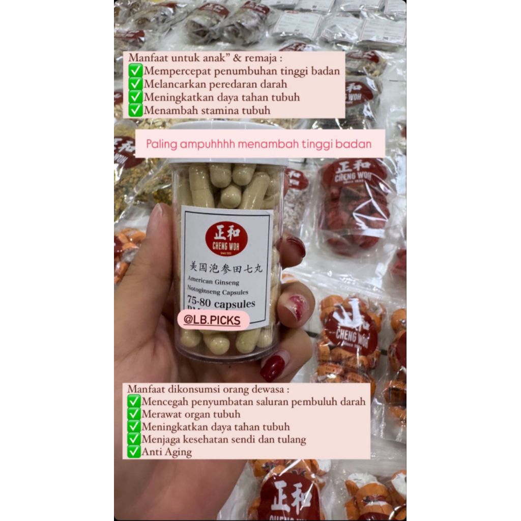 Peninggi Badan American Notoginseng Chengwoh