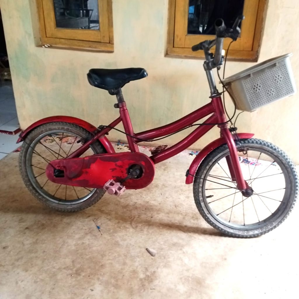 Sepeda Anak - Sepeda Anak 16 - Sepeda 16 - Sepeda Anak Cewek 16 - Sepeda Mini 16 - Sepeda Anak Perem