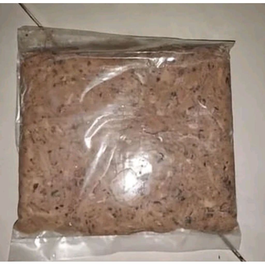 suir bulus umpan galatama lele