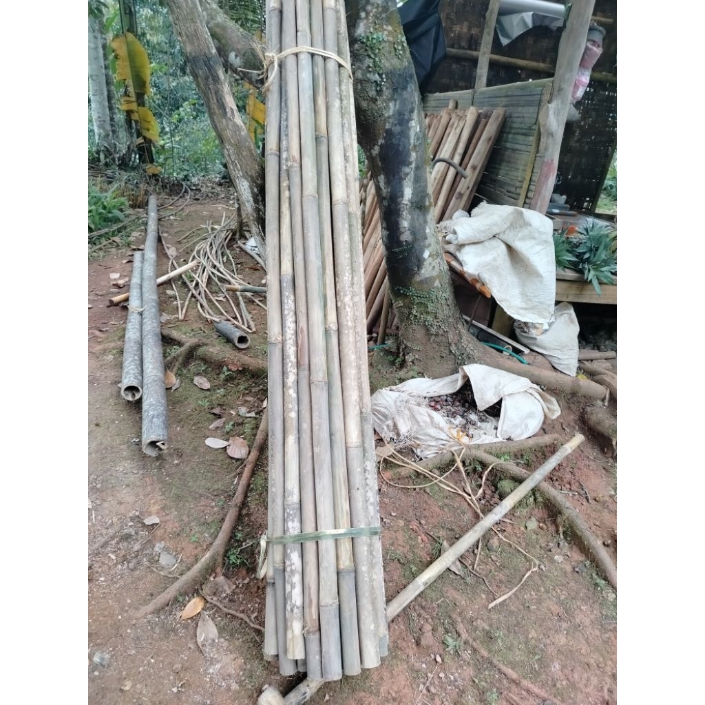 bambu galah panjang 2 meter