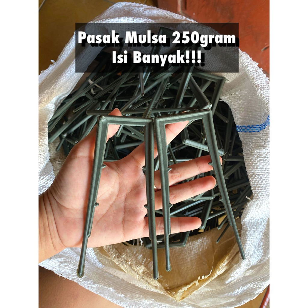 Pasak Mulsa 250gram Isi banyak-Pasak Mulsa/Penjepit Mulsa 14cm Isi Banyak-Pasak Mulsa Ecer 250gram