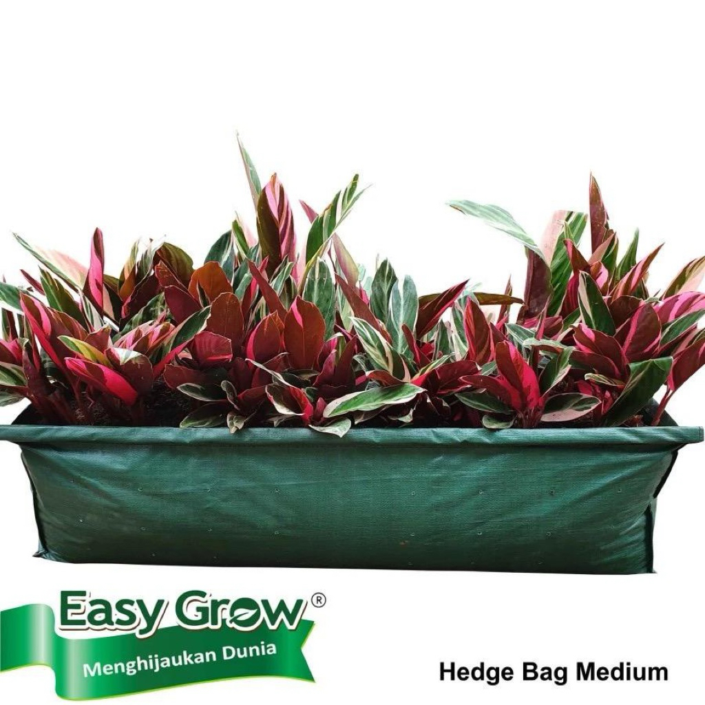 Hedge Bag Easygrow Size M-Hedge Bag Original Easygrow Ukuran Medium-Hedge Bag Size M Murah Original 
