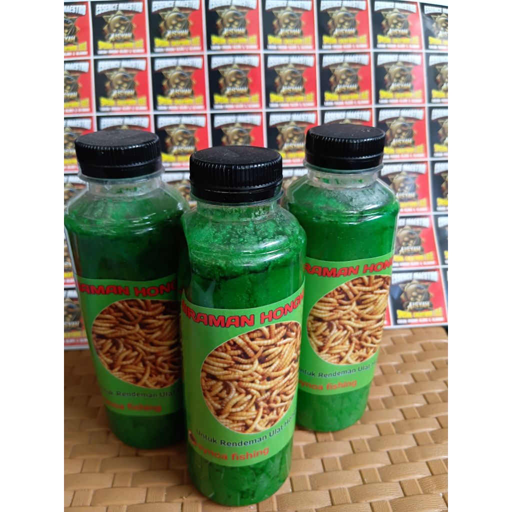 Siraman ulat hongkong,jangkrik, ulat jerman, magot, jangkrik galatama lele