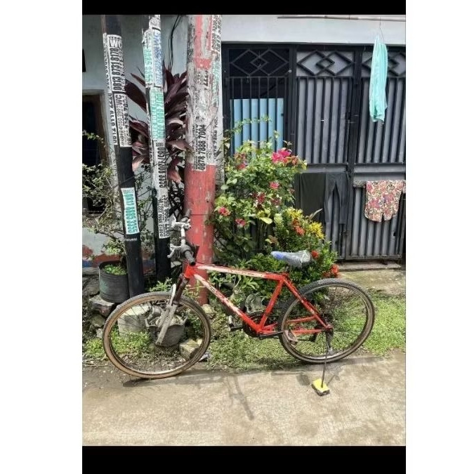 sepeda federal roda 26