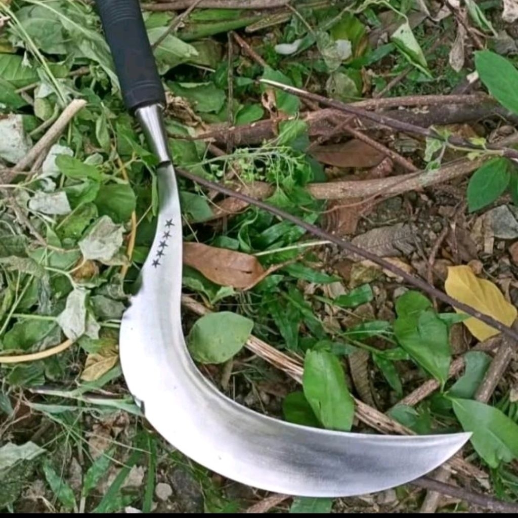 Sabit rumput bintang5 khas Madura asli baja