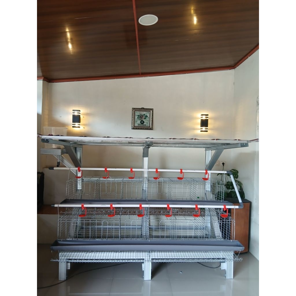 Kandang Batrei Ayam Petelur Kapasitas 24 Ekor