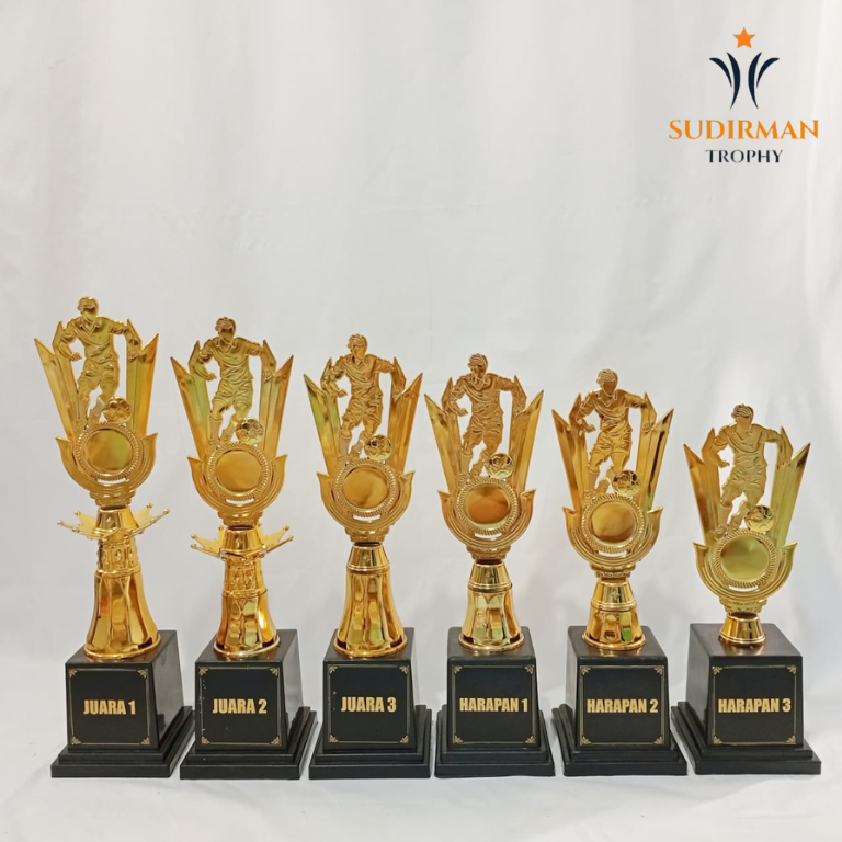 PIALA SET ISI 6 MURAH | PIALA KOMBINASI RASER DAN MAHKOTA | FIGUR SEPAK BOLA FUTSAL