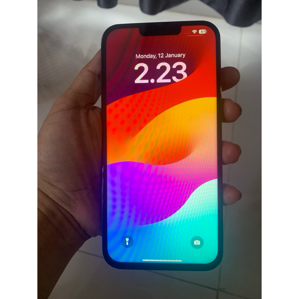 IPHONE 13 PRO MAX 256 Ex Inter Wifi Only