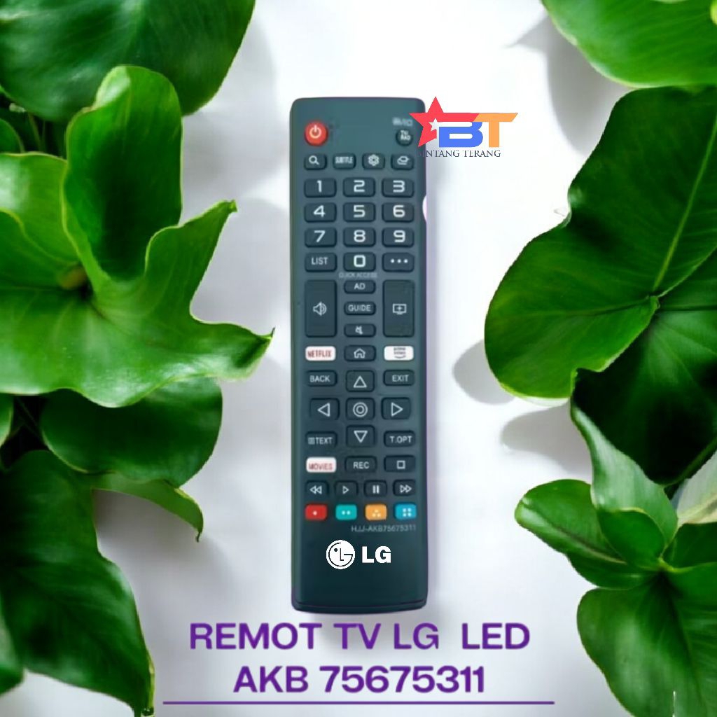 REMOT TV LG SMART TV NETFLIX YOUTUBE