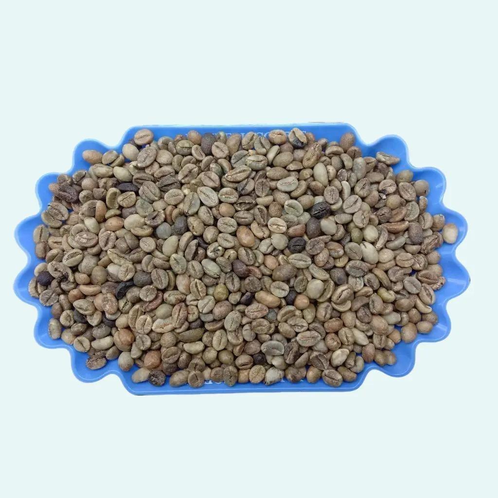 ELB 450 GRADE 3 / ROBUSTA GREEN BEAN / BIJI KOPI MENTAH ROBUSTA LAMPUNG  - 1 KG