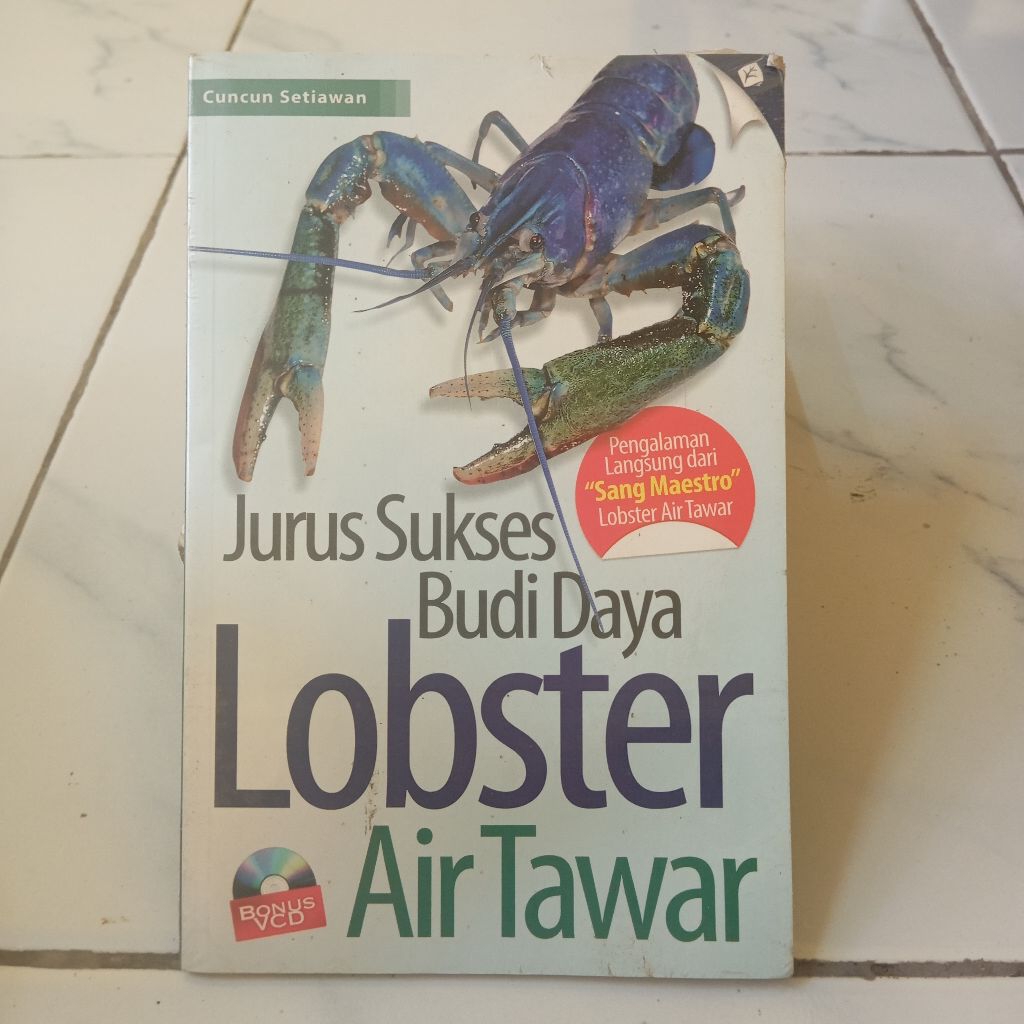 JURUS SUKSES BUDIDAYA LOBSTER AIR TAWAR