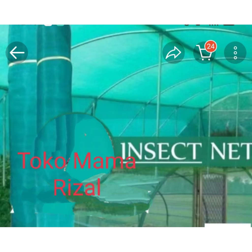Insect Net/kasa hijau 1ROLL 100mx3m mesh 40