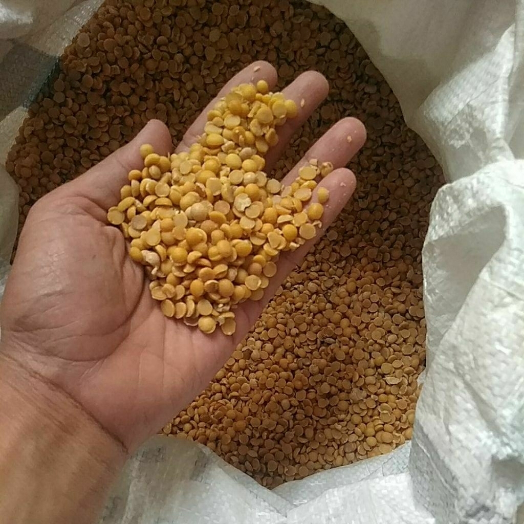 Kacang Kedelai kupas (MENTAH)