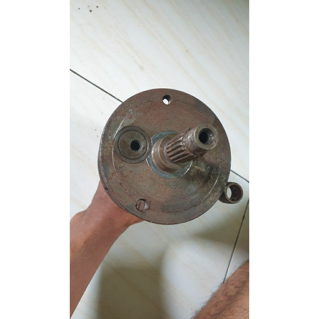 Askruk Tiger copotan