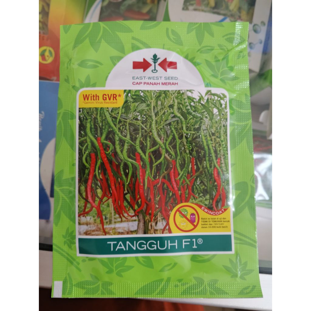 Benih Cabe Keriting TANGGUH F1 - Tahan Penyakit, Kualitas Tinggi, 2000 Butir