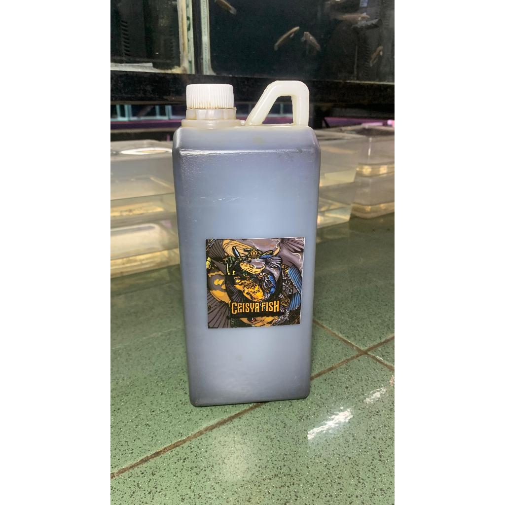 Ekstrak Daun Ketapang Laut Olahan Membantu Mempercepat Proses Mutasi Channa