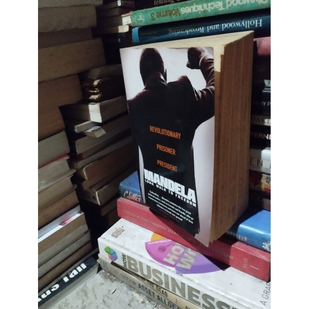 mandela long  walk to freedom donald woods