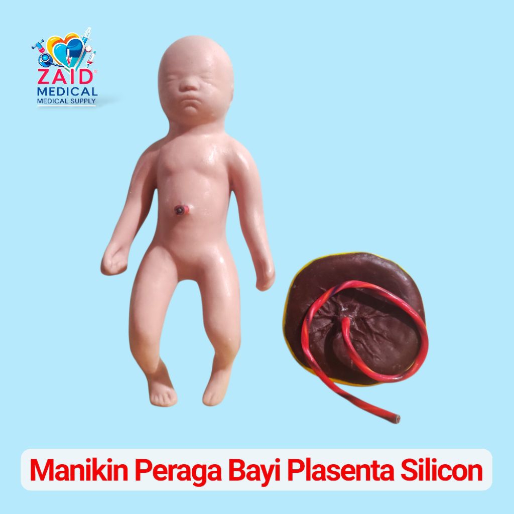 Phantom manikin Bayi Plasenta Silicon/ peraga Manikin plasenta Bayi