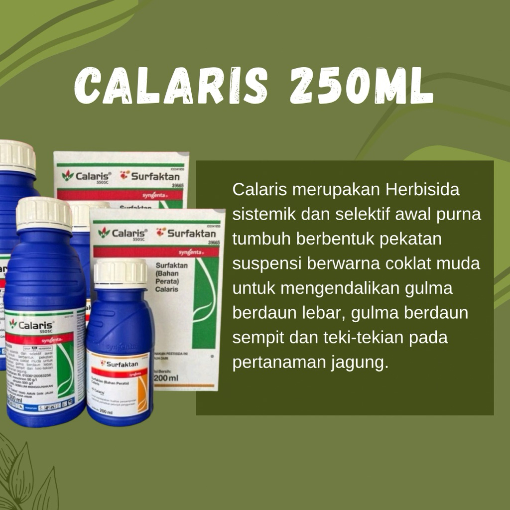Calaris 250ML Herbisida Jagung