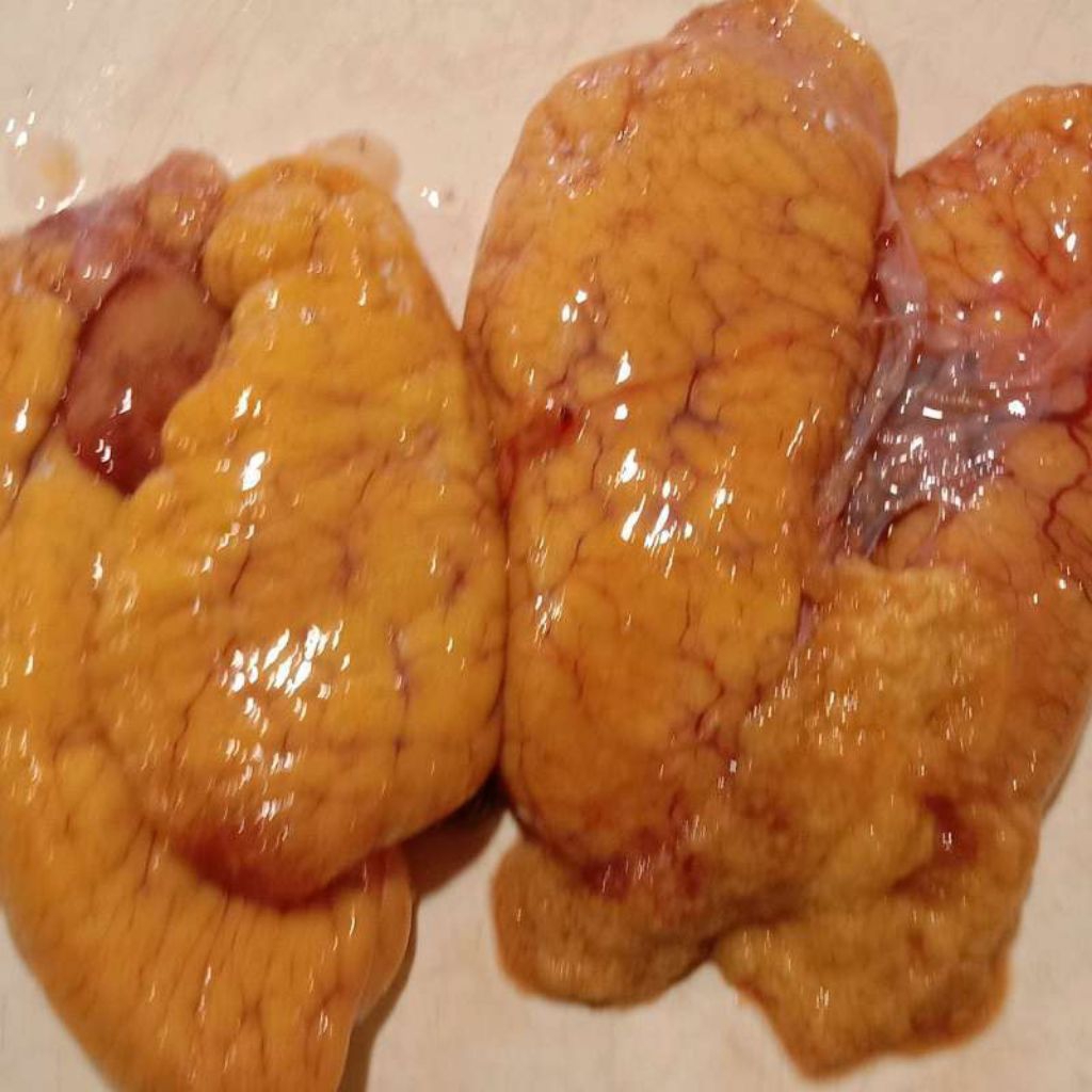 Telur Ikan Patin Frozen 400-500gr