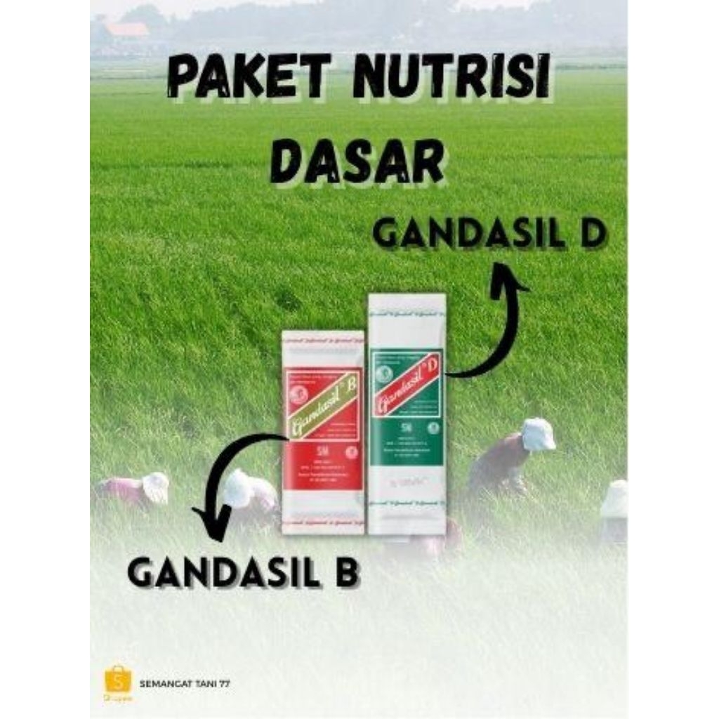 PAKET NUTRISI DASAR GANDASIL D DAN GANDASIL B