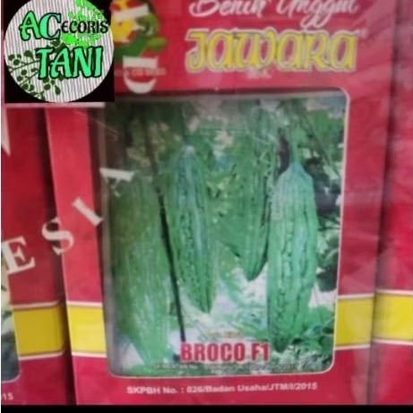 JAWARA_(Kecil)4-10GR