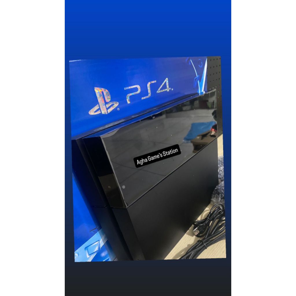 PS 4 Fat Hen Seri 10