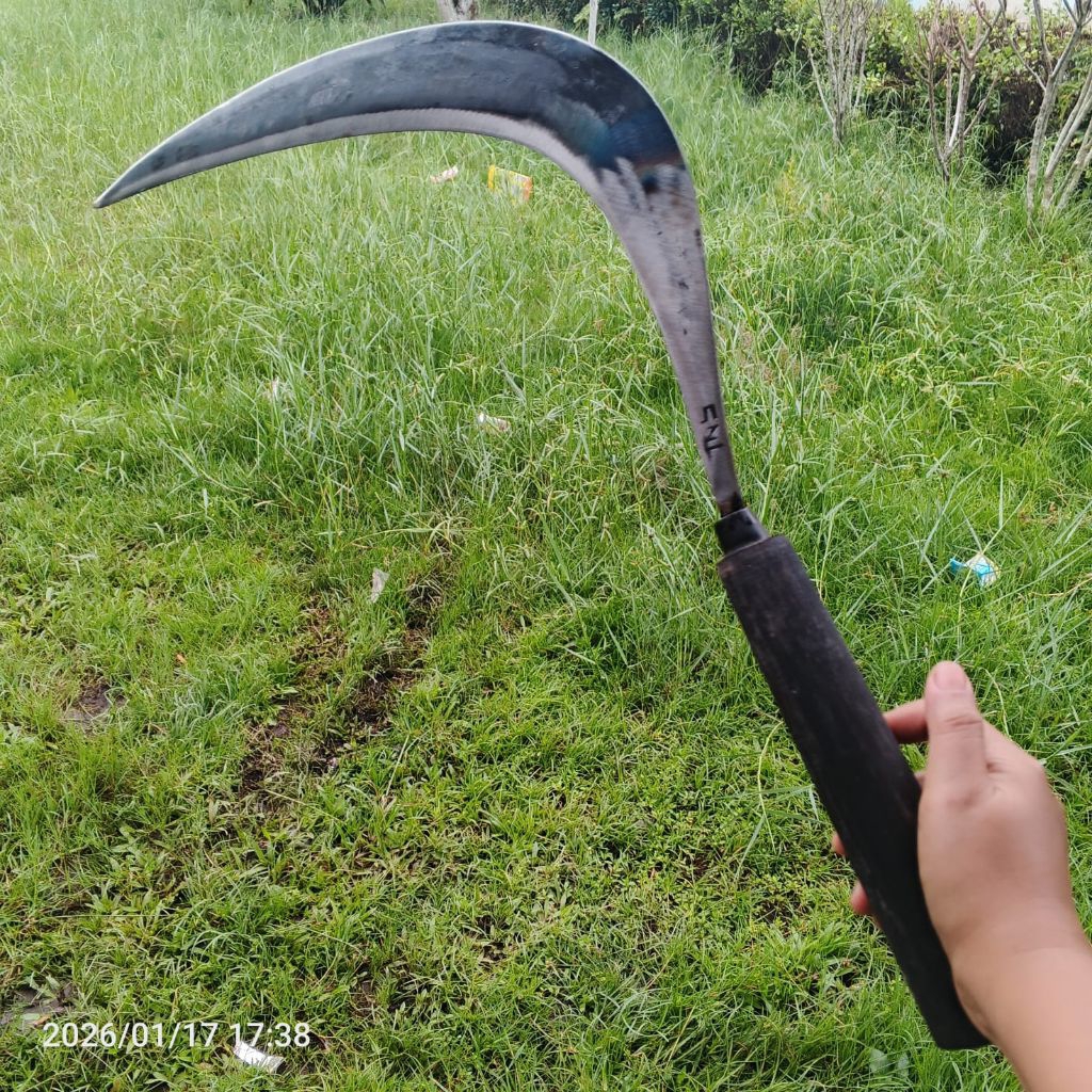 ARET RUMPUT SABIT POTONG RUMPUT