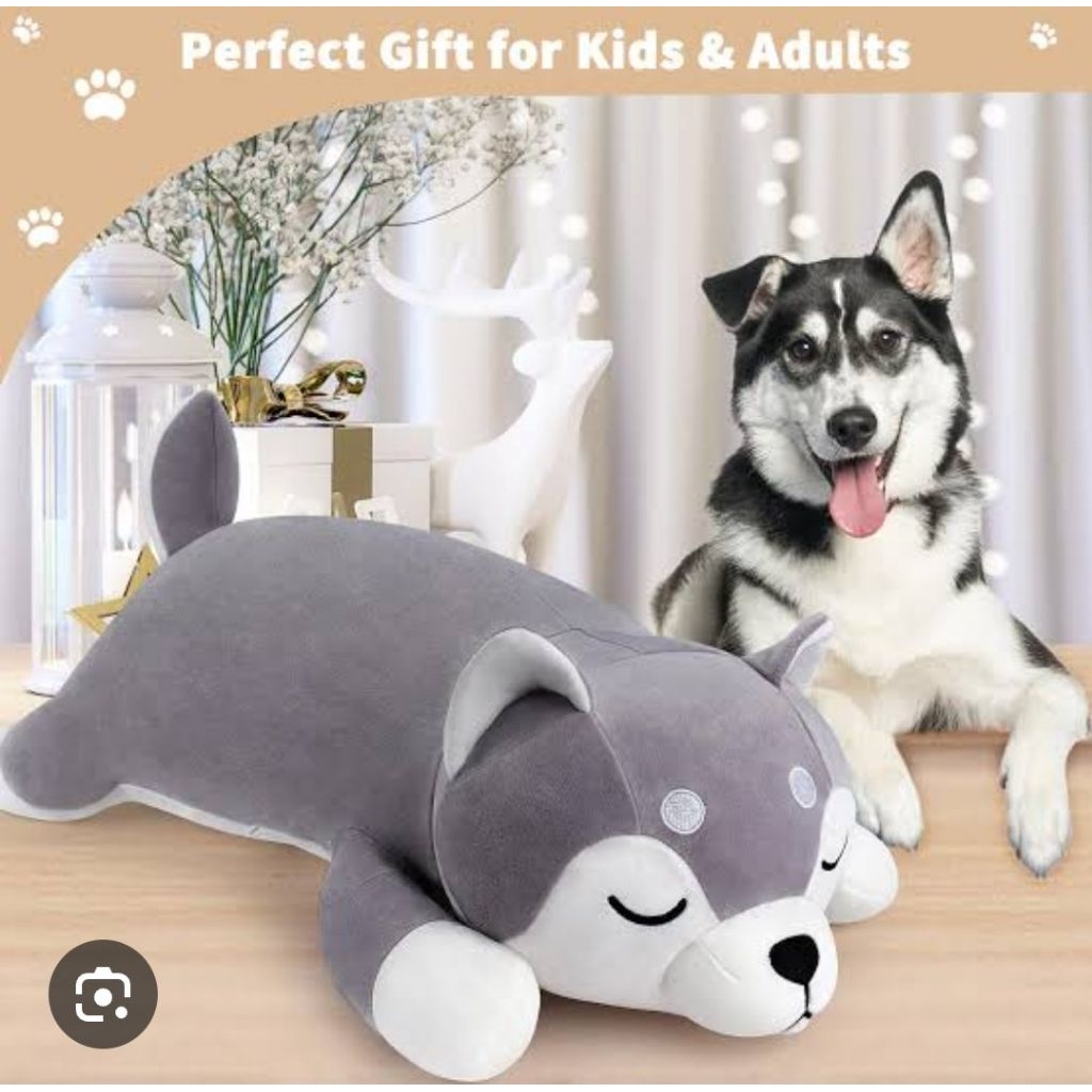 BONEKA IMPORT SHIBA BOBOK PLUSH LEMBUT