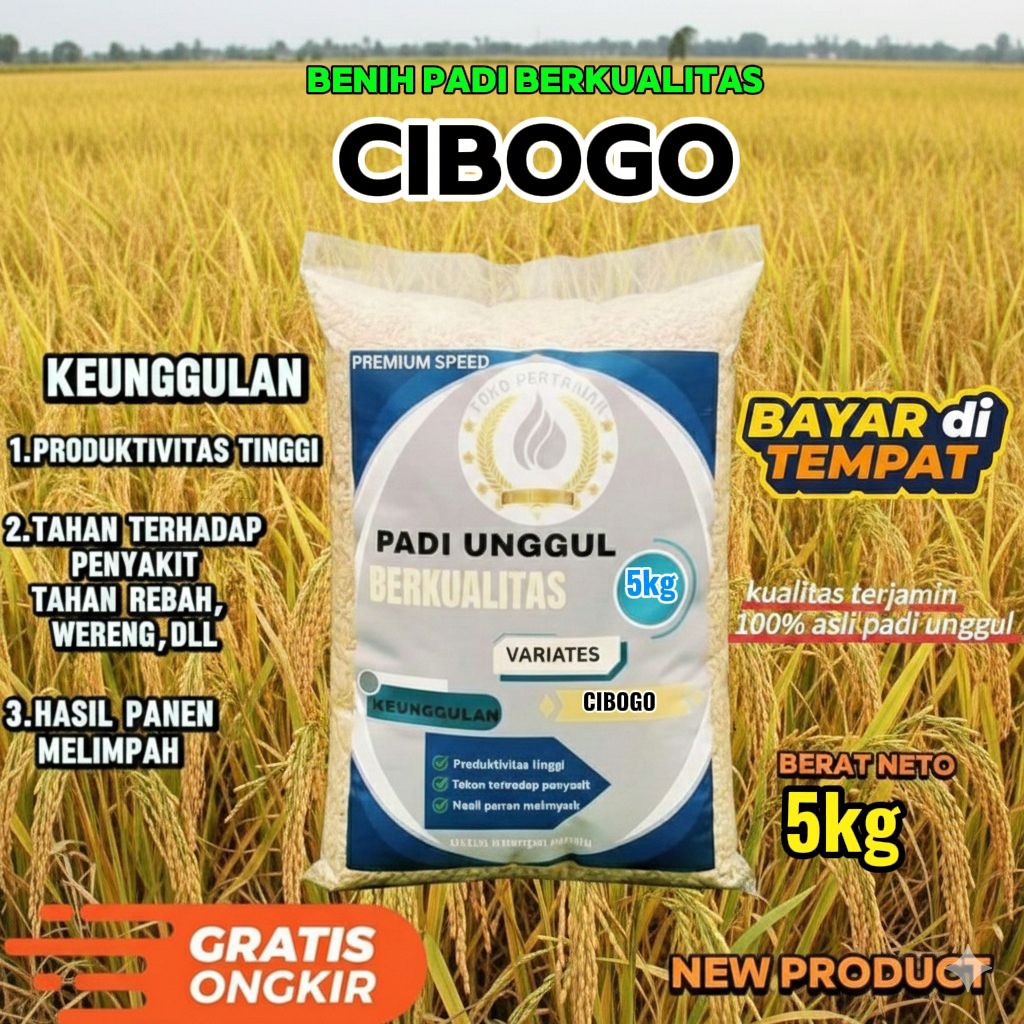 benih padi unggul CIBOGO berkualitas kemasan 5kg