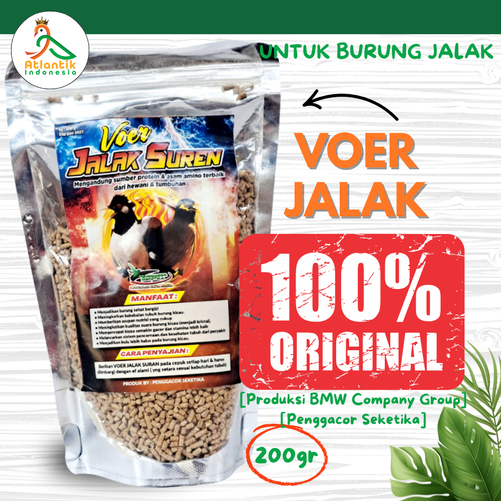 [Terlaris] Voer Pakan Jalak Suren Penggacor burung Makanan pakan burung jalak suren