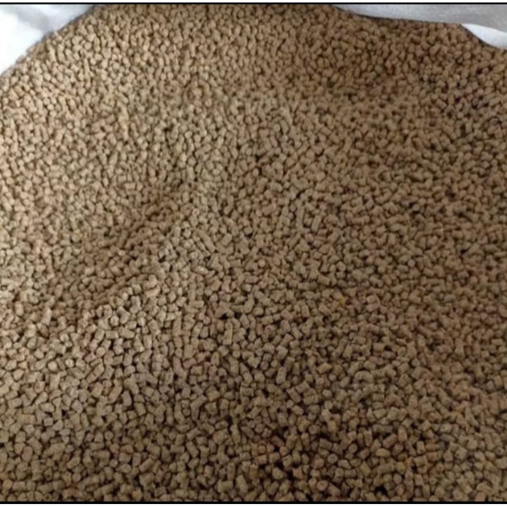 pur/layer murah untuk ayam pedaging