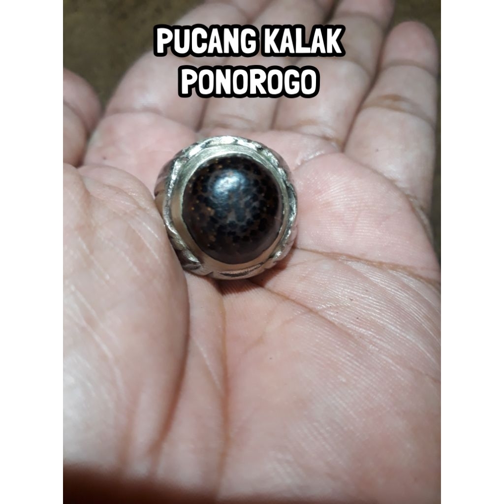 Cincin Kayu Pucang Kalak Original Ponorogo