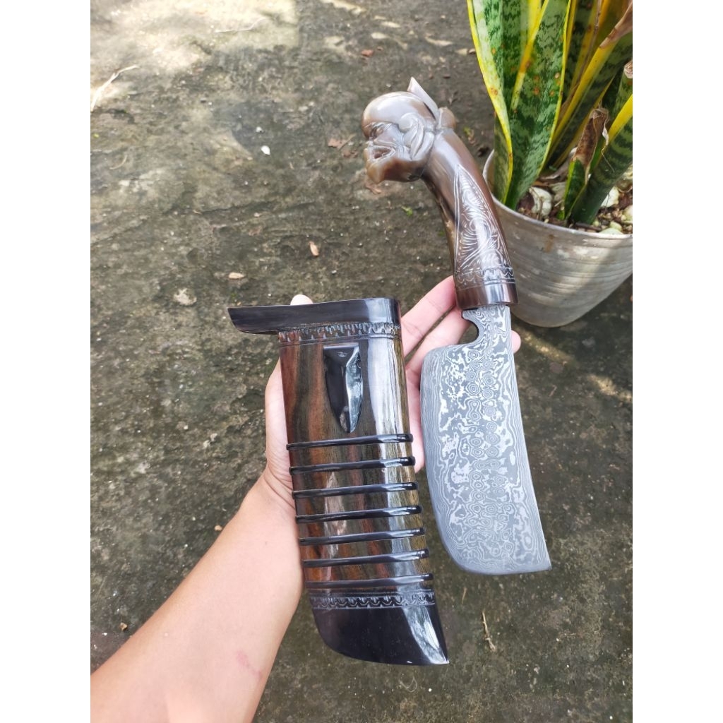 Cepot petok balikmipih panor