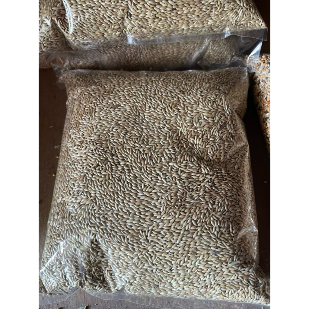 Kenari Seed 1Kg