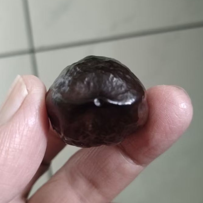 Kemiri Adu Muncang Adu Jayanti Si Poek Ori Matang