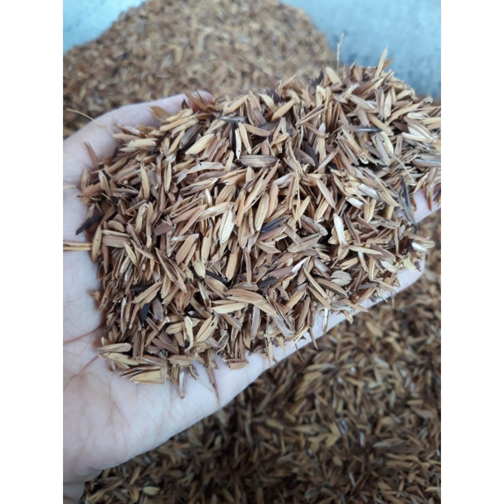 Sekam Sangrai Premium