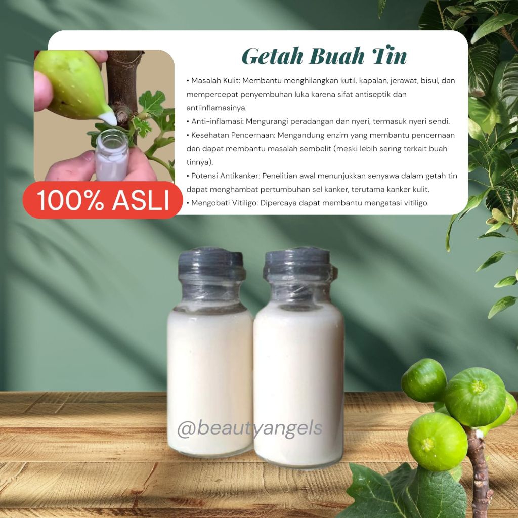Obat Getah Buah Tin 100% ASLI