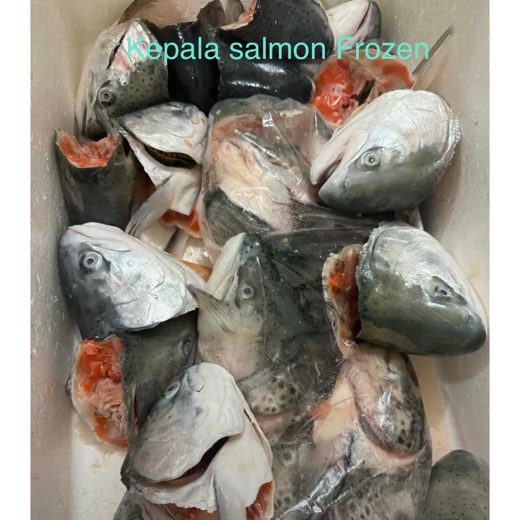 kepala salmon 1kg