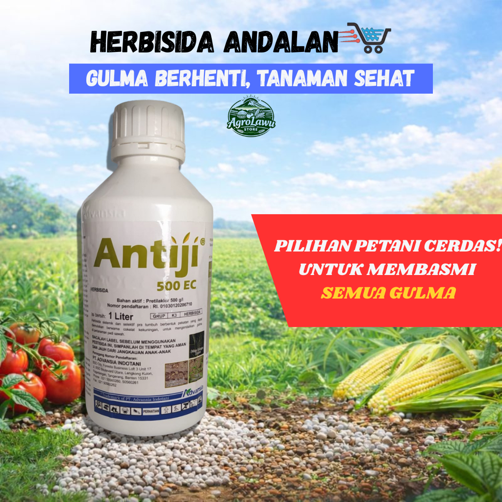 Herbisida Antiji Solusi Gulma Rumput liar & Daun Lebar untuk Padi Cabai Kebun