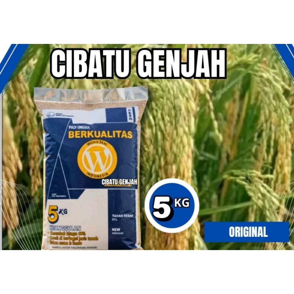BIBIT PADI CIBATU GENJAH KEMASAN 5KG