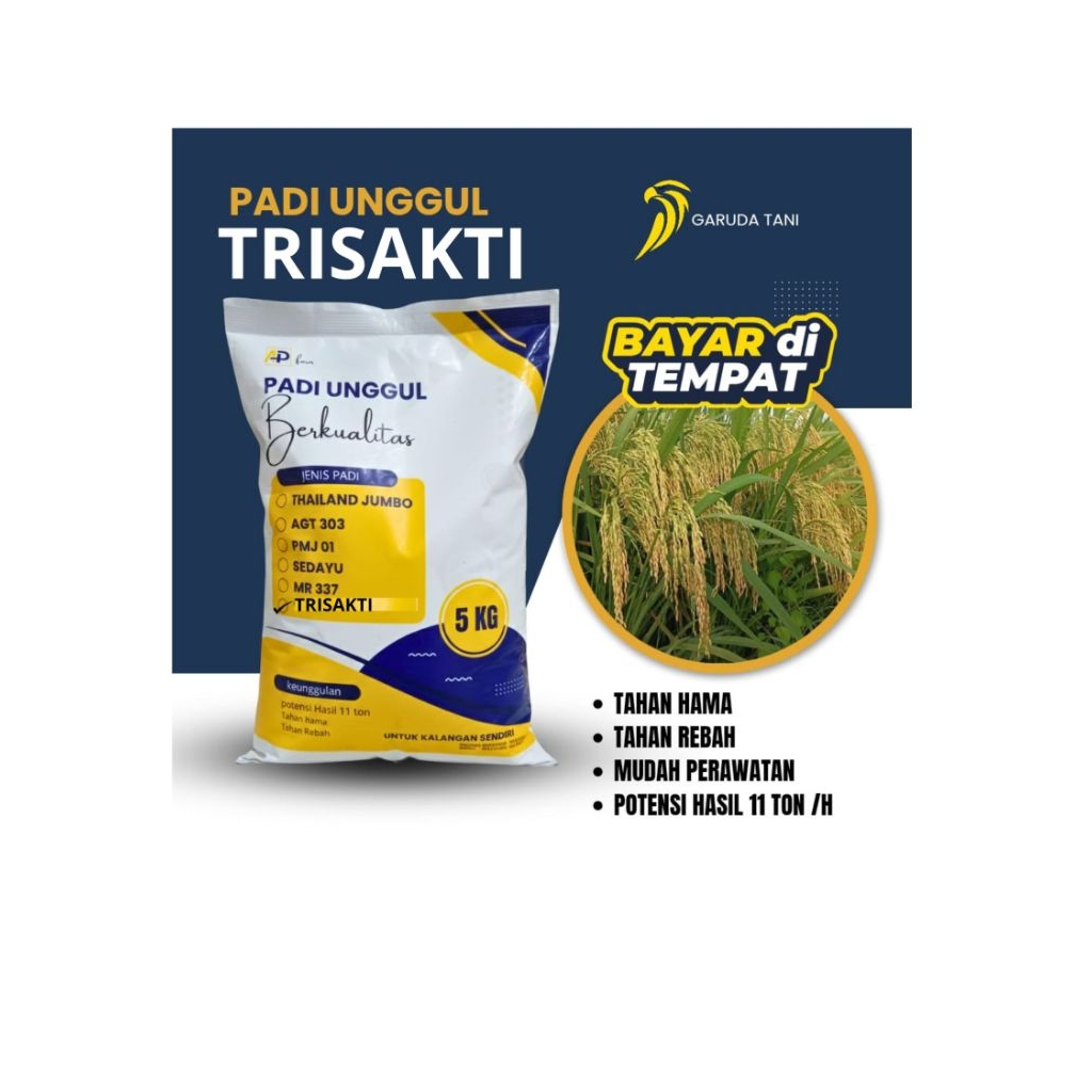 Benih unggul padi Trisakti 5kg berkualitas benih padi unggul berkualitas Trisakti 5kg